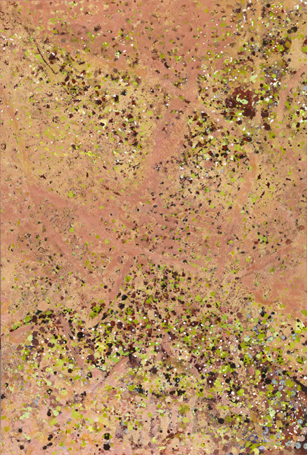 James Yuncken, Red Earth - 122 x 81 cm, acrylic media on board, 2008