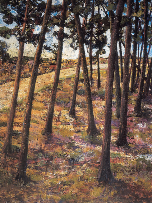 Self-generated Landscape No 10: Plantation Forest Road - oil on gesso board 81 x 61cm, 2003