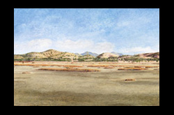 20091201 James Yuncken Port Alma Salt Flats 78 x 117 cm acrylic on board 2010