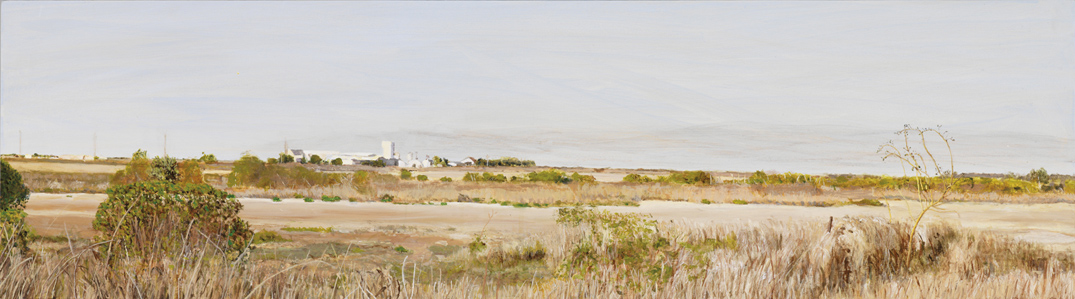 James Yuncken Salt Works Port Alma - 38 x 108 cm, acrylic on board, 2010