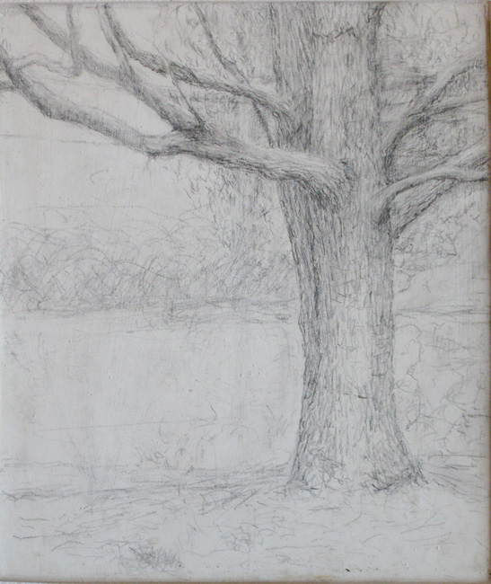 James Yuncken, Tree at Mimosa, NSW South Coast - 14 x 12 cm, pencil on gesso board, 2009