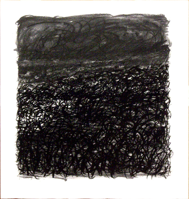 James Yuncken, Tempest - 35  x 33.5 cm, 2016