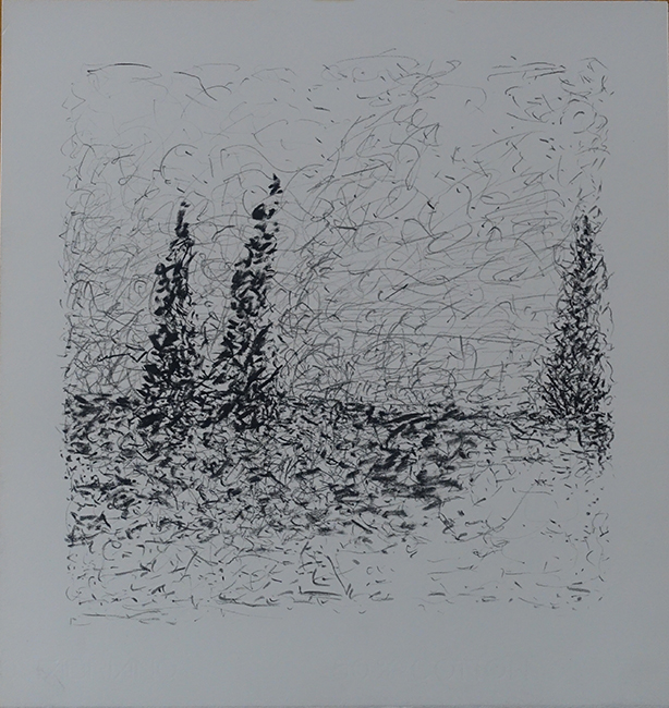 James Yuncken, Three trees - 35 x 33.5 cm, conte charcoal on paper, 2020