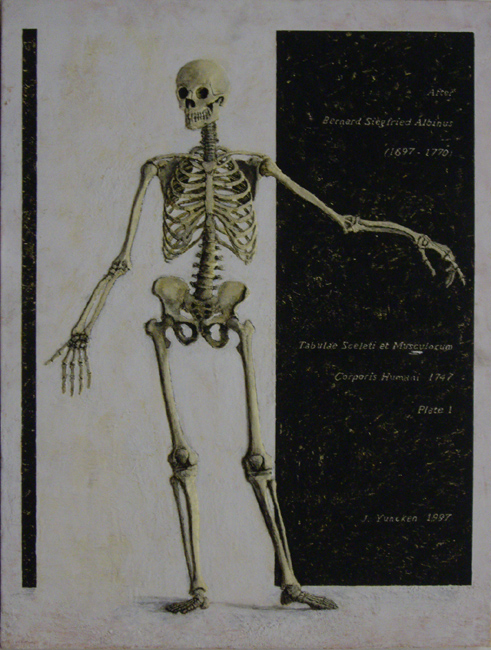 James Yuncken, After Plate 1, Tabulae Sceleti et Musculorum Corporis Humani, 
		by Berndard Siegfried Albinus - 80 x 61 cm, 1997