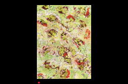 20100503 James Yuncken, Red Island 36 x 110 cm, acrylic on board, 2010