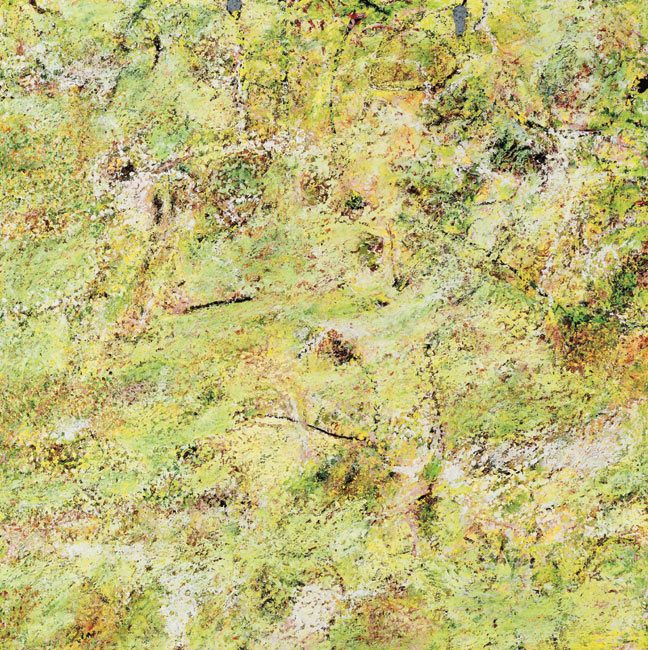 James Yuncken, Paradeisos - 81 x 81 cm, oil paint, oil stick over acrylic on board, 2006