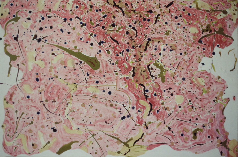 James Yuncken, Plasmic Fusion - 81 x 121 cm, acrylic media on board, 2008