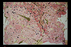20080201 James Yuncken Plasmic Fusion 81 x 122 cm acrylic media on board 2008