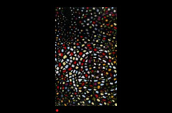 20091202 James Yuncken Sunrise over Cape York 118.5 x 118 cm acrylic on board, 2010