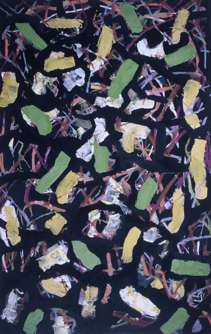 James Yuncken, Black Network - 80 x 50 cm, acrylic, pastel, ink on paper, 2004