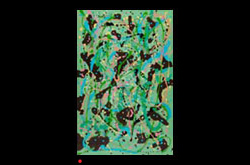 20100502 James Yuncken, North of Bowen, 27.5 x 100, acrylic on board, 2010
