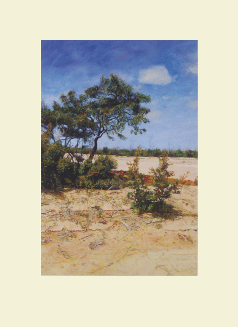 James Yuncken, Turn-off to Old Telegraph, giclee print, 2010