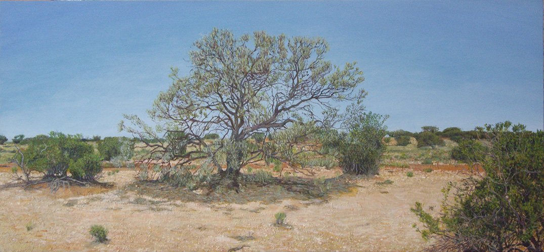 James Yuncken, Oodnadatta Track, South Australia's Outback, Oodnadatta: Along the Golf Tower Walk - 37 x 80 cm, acrylic on board, 2017