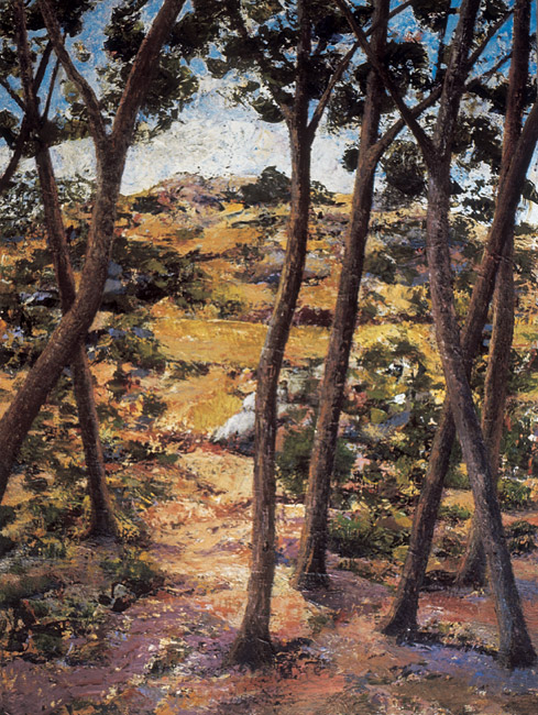 Self-generated Landscape No 9: From Within - oil on gesso board 81 x 61cm, 2003