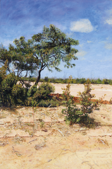 James Yuncken  Turn-off to Old Telegraph - 120 x 79.5 cm, acrylic on board, 2010