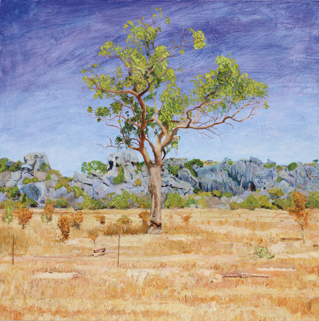James Yuncken West of Chillagoe - 60 x 60 cm, acrylic on board, 2010
