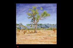 20100301 James Yuncken West of Chillagoe 60 x 60cm acrylic on board 2010