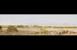 20100501 James Yuncken, Salt Works Port Alma 30 x 108 cm, acrylic on board, 2010
