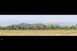 20100502 James Yuncken, North of Bowen, 27.5 x 100, acrylic on board , 2010
