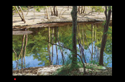 20100603 James Yuncken Wenlock River 70 x 100cm acrylic on board 2010