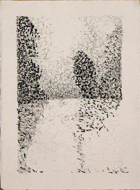James Yuncken, Suggestions of things - Monet - 38.5 x 27.5 cm (paper), conte pencil, willow charcoal on paper, 2016