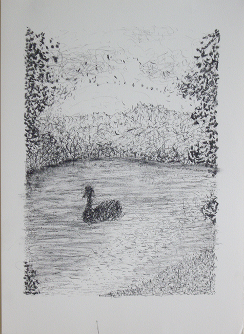 James Yuncken, Suggestions of things - Pond - 38.5 x 27.5 cm (paper), conte pencil, willow charcoal on paper, 2016