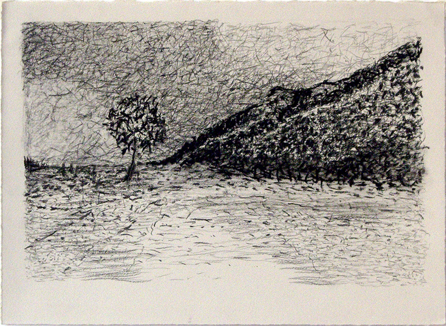 James Yuncken, Tree in a landscape - 28 x 38 cm (paper), conte & pitt charcoal on paper, 2016