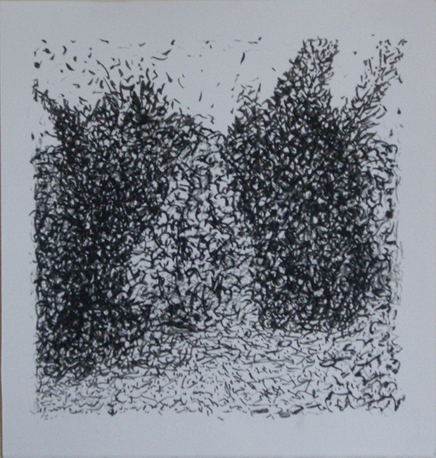 James Yuncken, Concealed figure in a landscape - 35 x 33.5 cm, conte pencil, pitt charcoal, ink on paper, 2017