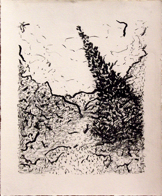 James Yuncken, Distorted Landscape - 38 x 31.5 cm, willow charcoal on paper, 2017