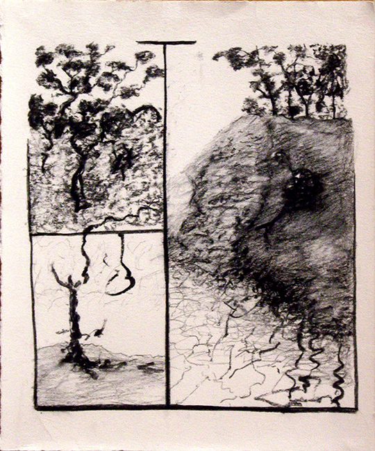 James Yuncken, Medley of landscapes - 37.5 x 31 cm, willow and conte charcoal on paper, 2017