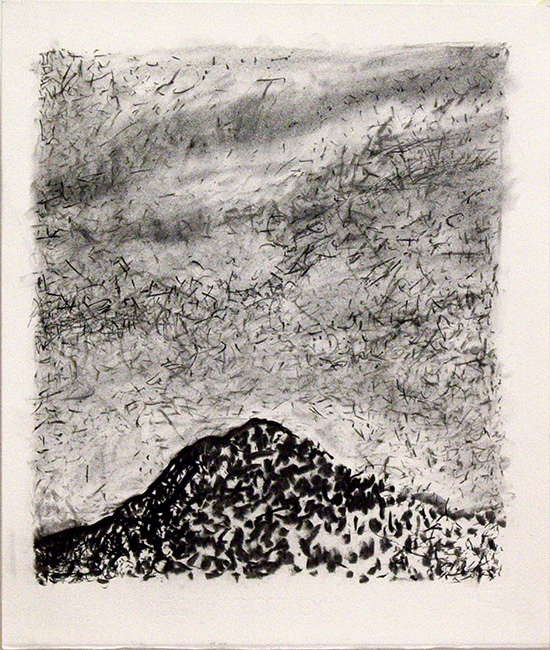 James Yuncken, Hill - 34 x 30 cm, charcoal on paper, 2017