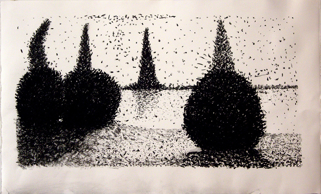 James Yuncken, Trees and Water - 65 x 107 cm, charcoal on paper, 2017