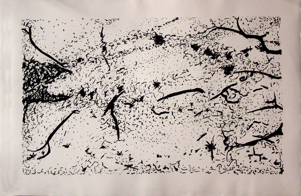 James Yuncken, Serpent in the tree - 70 x 107 cm, charcoal on paper, 2017