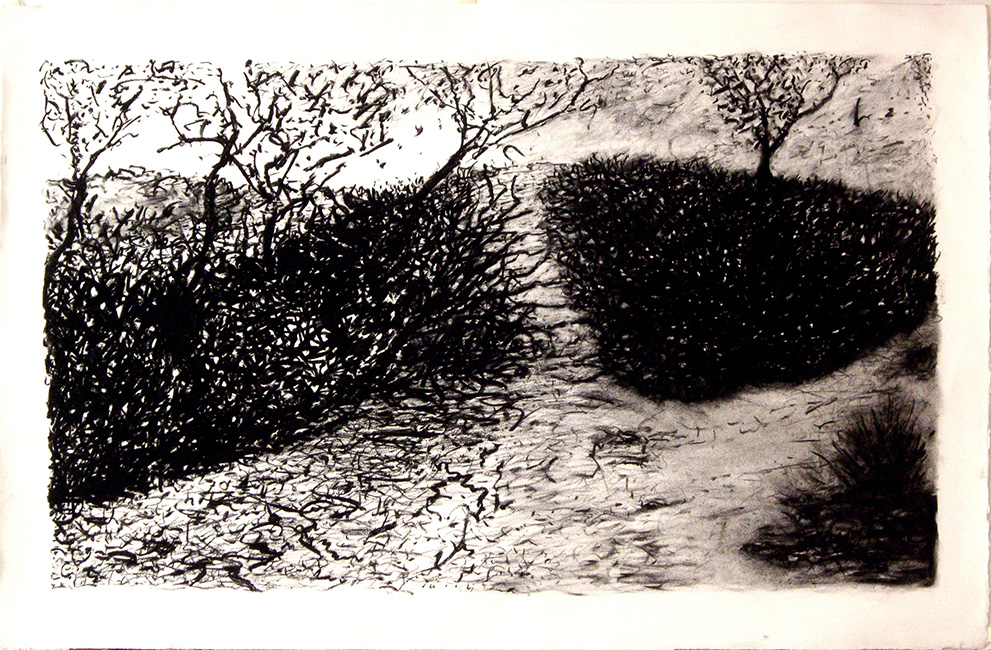 James Yuncken, Fork - 70 x 107 cm, charcoal on paper, 2017