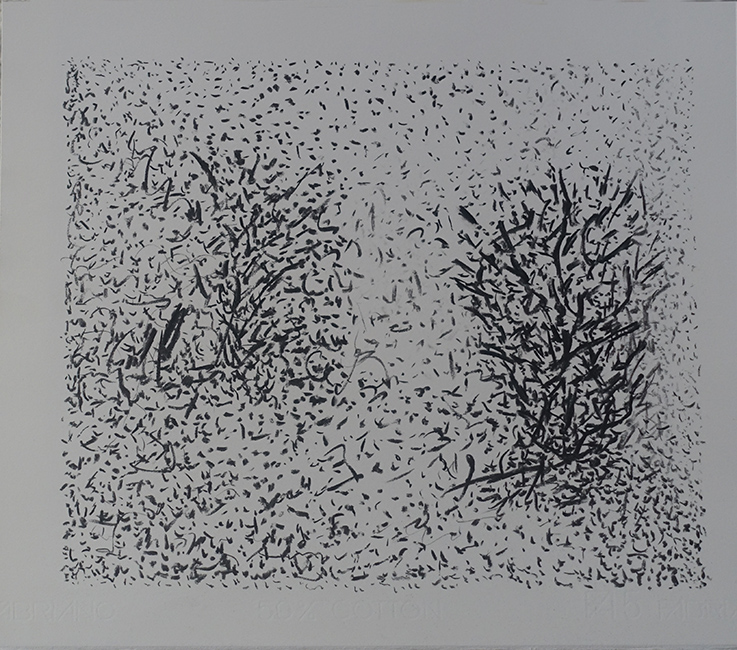 James Yuncken, Untitled - 35 x 40 cm, charcoal on paper, 2020