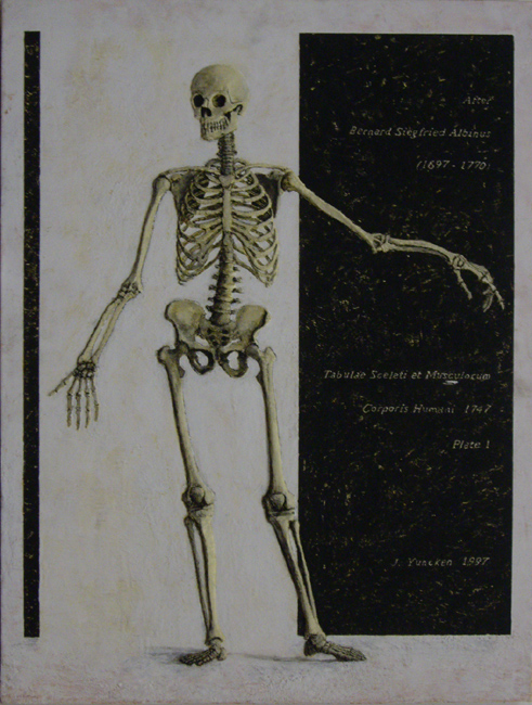James Yuncken, After Plate 1, Tabulae Sceleti et Musculorum Corporis Humani,
by Berndard Siegfried Albinus - 80 x 61 cm, 1997